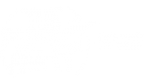 The Perfect Party